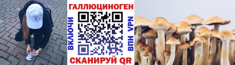 Псилоцибиновые грибы GOLDEN TEACHER  Купить где  Балабаново 
