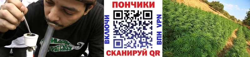 Конопля OG Kush  Купить  Балабаново 